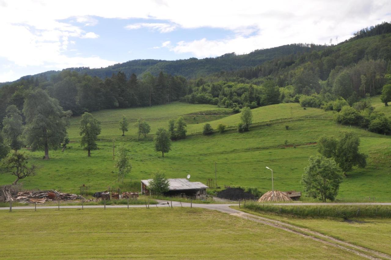 Mostheuriger Steyrdurchbruchalm Leonstein Exterior foto