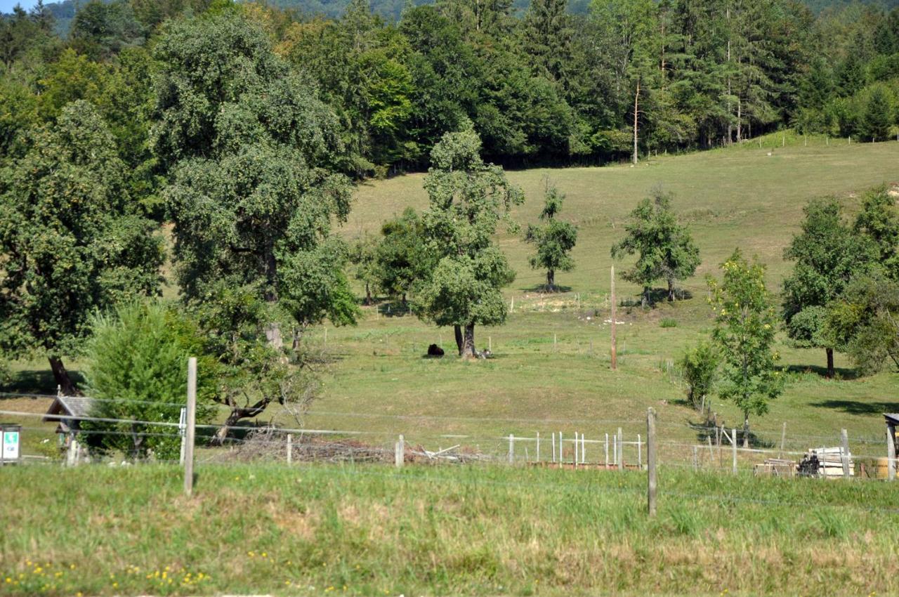 Mostheuriger Steyrdurchbruchalm Leonstein Exterior foto